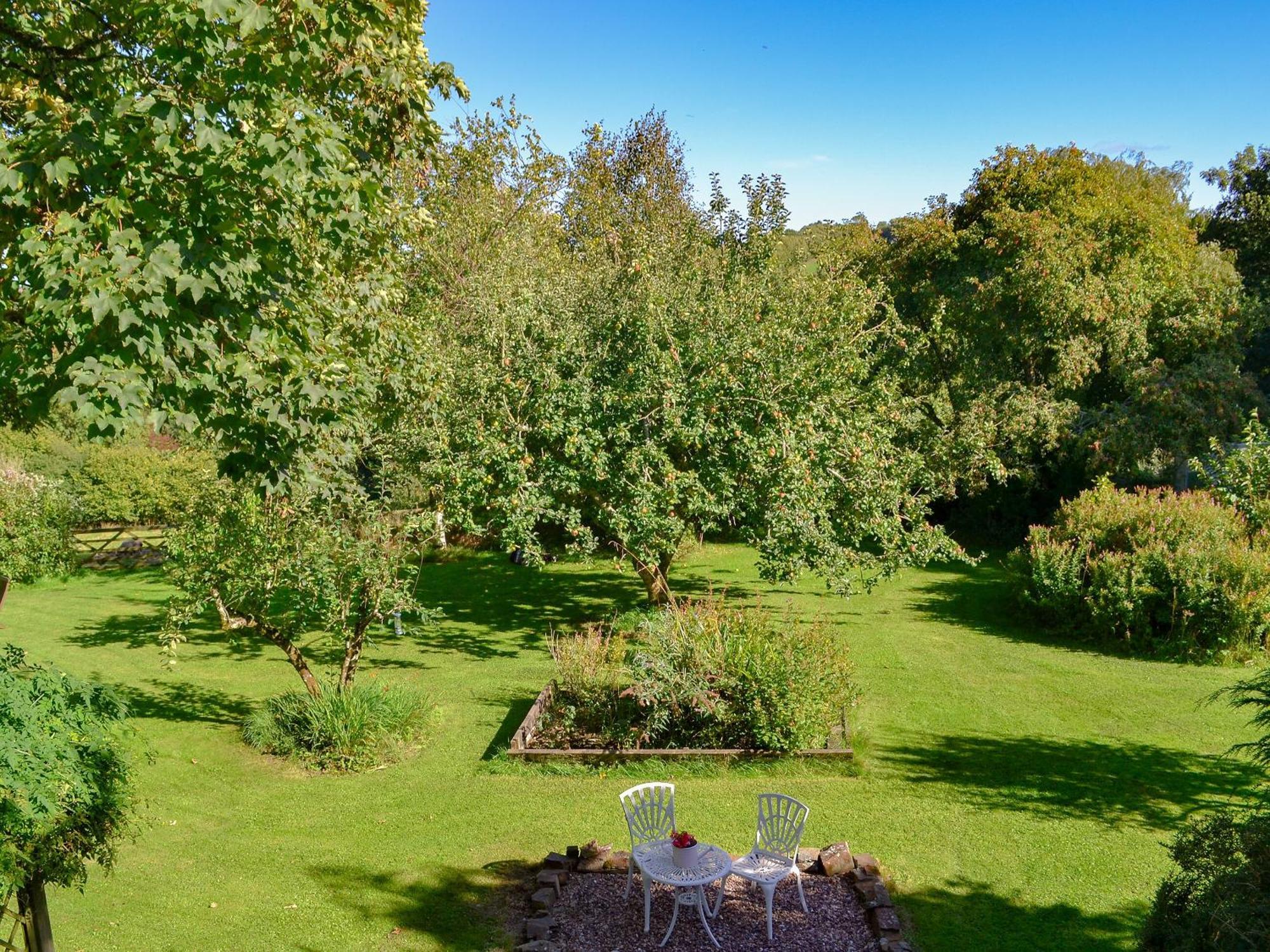 Clematis Cottage Holsworthy Exterior foto